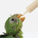 nzmegabuy 10ml disposable feeding syringe administering liquid food to a small green bird
