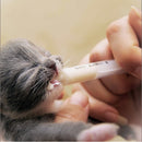 nzmegabuy 10ml needle-free feeding syringe being used to feed a small grey kitten with milk