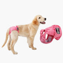 nzmegabuy pink washable female dog diaper pants with mesh lining worn by a golden retriever puppy