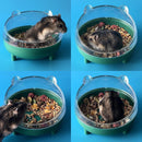 nzmegabuy tilted cat-shaped hamster food bowl in green and clear acrylic with a dwarf hamster eating inside