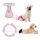 nzmegabuy washable female dog diaper pants with velcro closures and mesh lining, shown on white and golden dogs