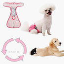 nzmegabuy washable pink female dog diaper with velcro closures and mesh lining worn by a white poodle and puppy
