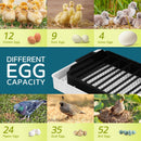 12Eggs Egg Incubator Digital Fully Automatic Egg Turning
