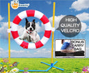 Pet Dog Agility Training