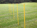 Portable Dog Training Practice Poles Agility Pole