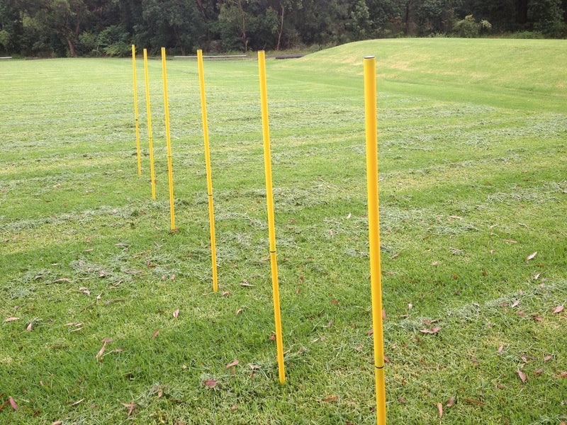 Portable Dog Training Practice Poles Agility Pole