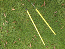 Portable Dog Training Practice Poles Agility Pole