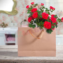 20 x Kraft Brown Paper Carry Bags Gift Carry Shopping Bags Bulk Handles*5 Sizes