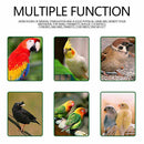 Bird Chewing Toy * Parrot Swing Toys Hanging Bell Cockatiel Cage Toy* 27CM