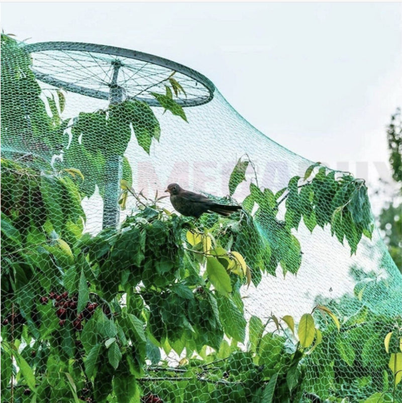 Anti Bird Netting 2 x 10M Fruit protector