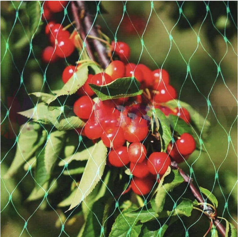 Anti Bird Netting 2 x 10M Fruit protector