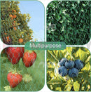 Anti Bird Netting 4 x 6 M Fruit protector