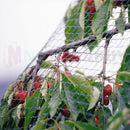 Anti Bird Netting, Fruit protector *2 Sizes